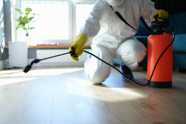 Trusted Sewage Cleanup service in Freeburg, IL - Four Month Blood Cleanse